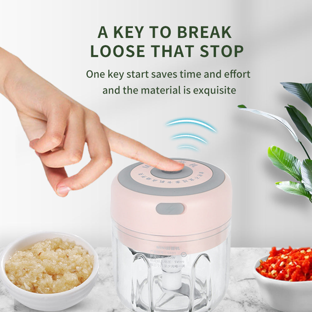 Mini USB Electric Garlic & Veggie Chopper