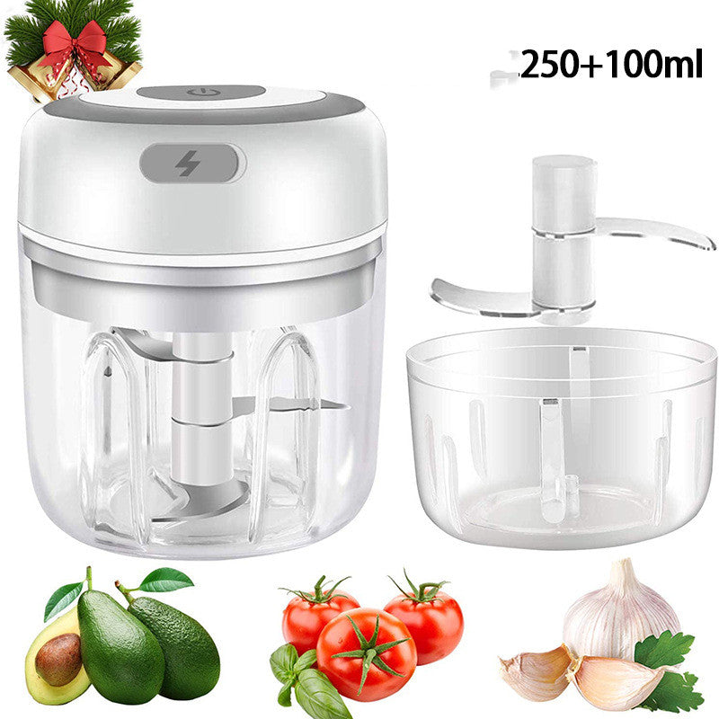 Mini USB Electric Garlic & Veggie Chopper